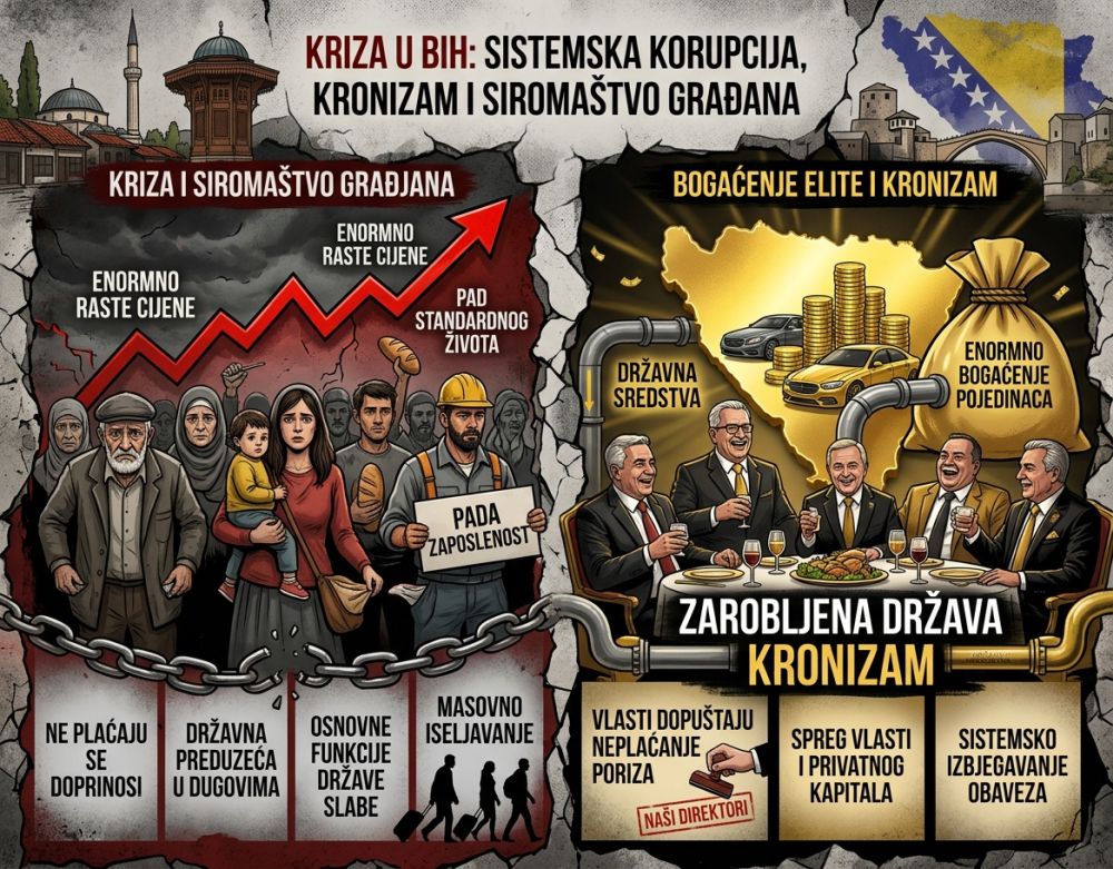Zarobljena ekonomija: Uzroci i posljedice krize u BiH